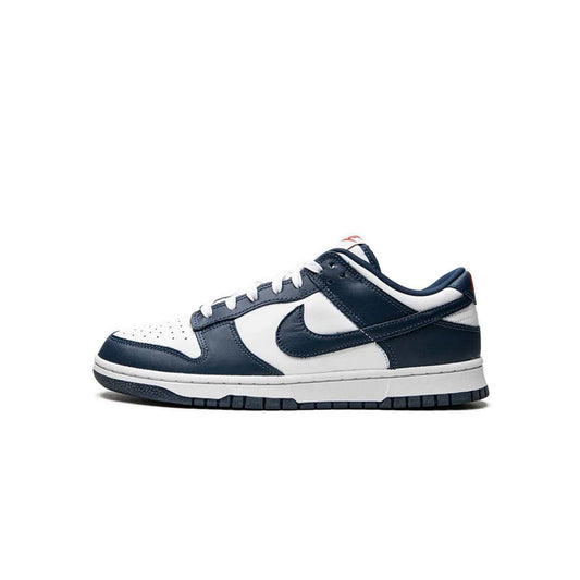 Nike Dunk Low Valerian Blue